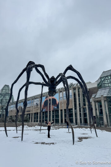 The giant spider sculpture in front of the National Gallery of Canada