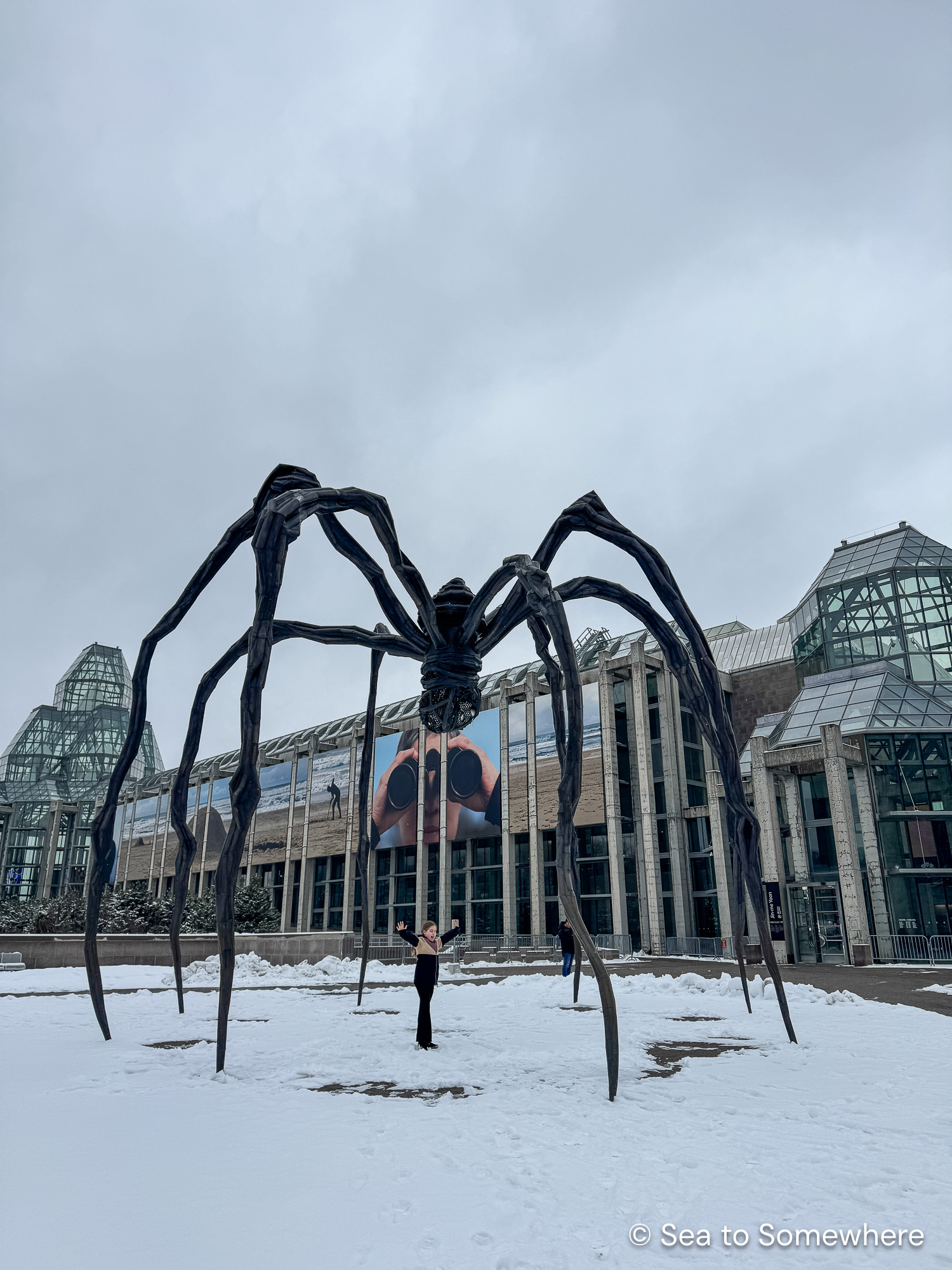 The giant spider sculpture in front of the National Gallery of Canada